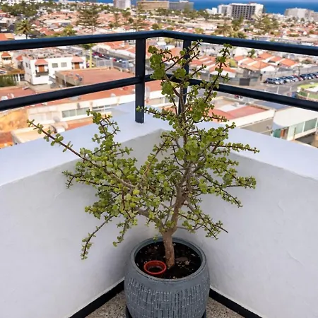 Palm View Apartment *