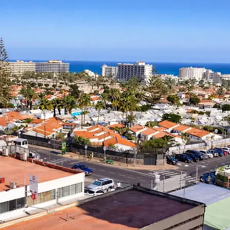 Palm View *