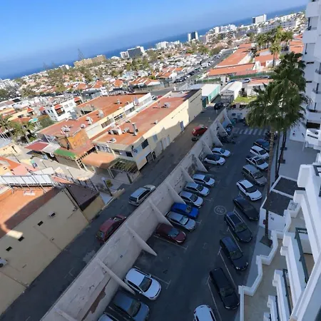 Palm View