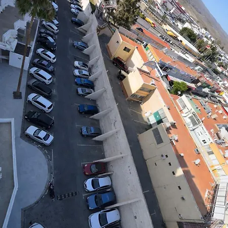 Palm View *